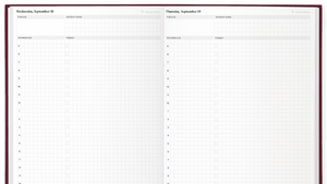 2025 Daily Planner